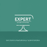 Expert